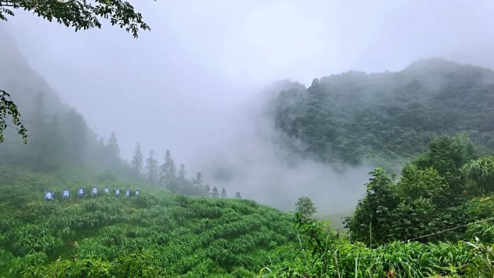 &#20048;&#40060;