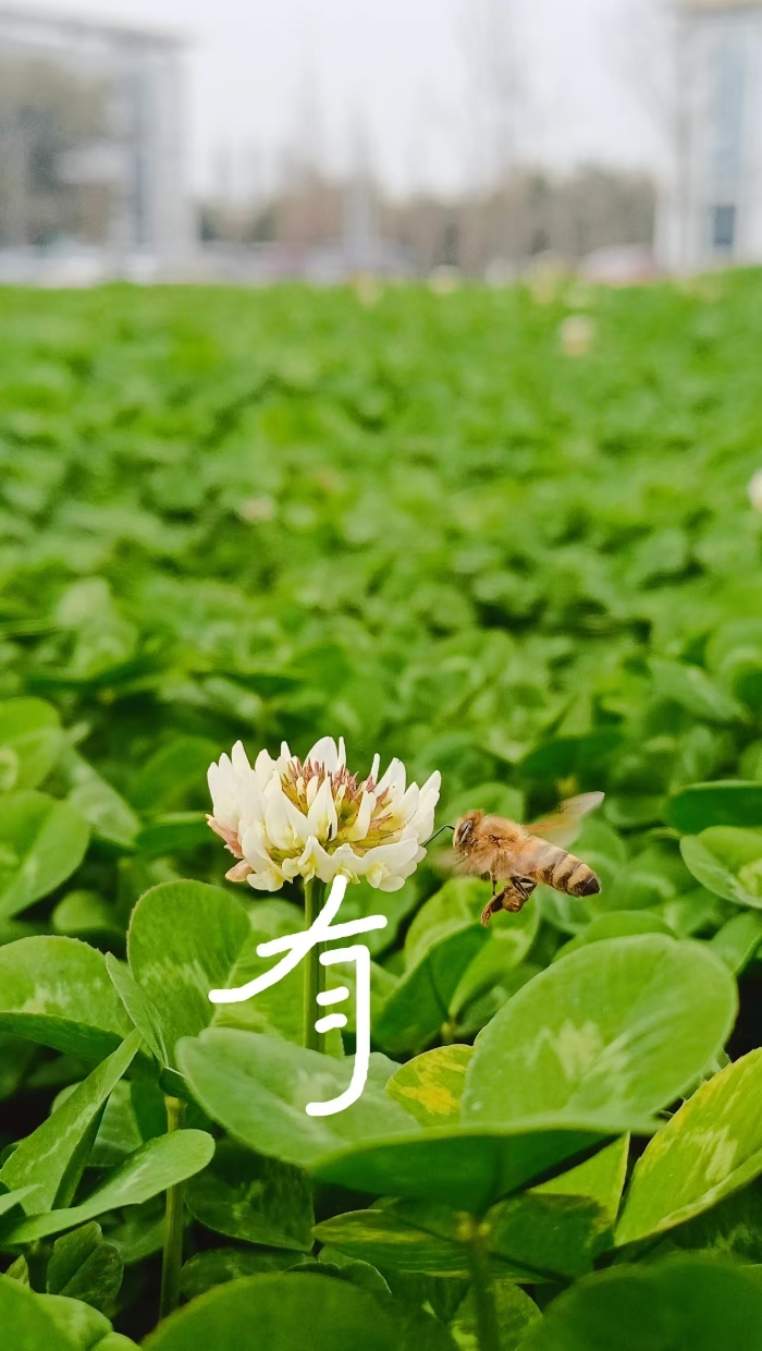 &#20048;&#40060;