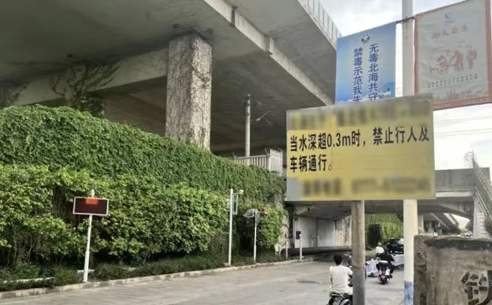 &#20048;&#40060;